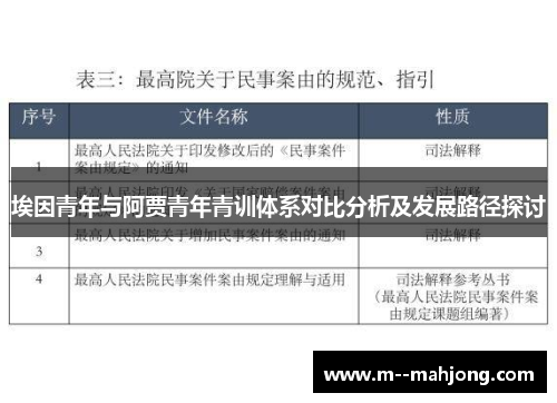 埃因青年与阿贾青年青训体系对比分析及发展路径探讨