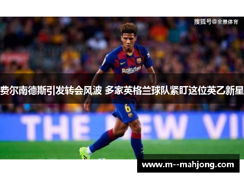 费尔南德斯引发转会风波 多家英格兰球队紧盯这位英乙新星