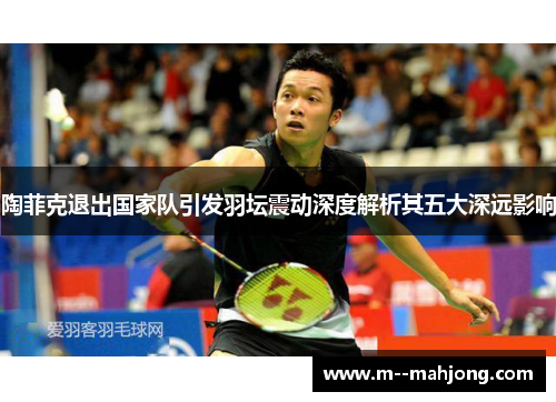 陶菲克退出国家队引发羽坛震动深度解析其五大深远影响 陶菲克退出国家队引发羽坛震动深度解析其五大深远影响