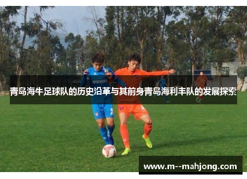青岛海牛足球队的历史沿革与其前身青岛海利丰队的发展探索
